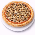 porcini