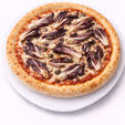 radicchio di treviso